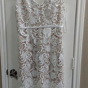Lace Dress from DB studio